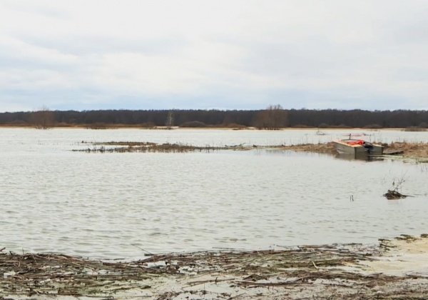 Уровень воды в Оке в Рязани почти достиг трех метров