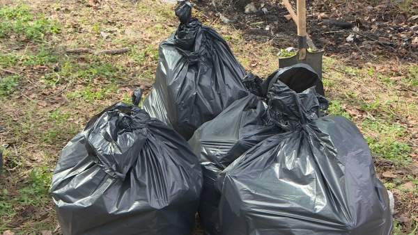 Названы даты весенних субботников