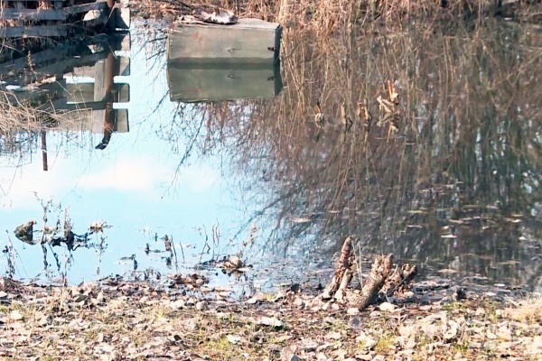 Река Ермишь затапливает приусадебные участки