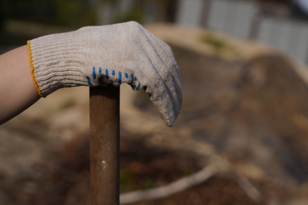 Первый весенний субботник собрал в Рязани более 300 участников