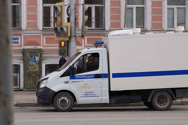 Полицейские изъяли винтовку у жителя Сараевского округа