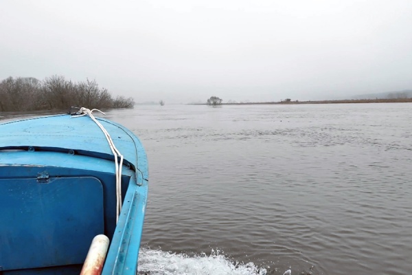 В МЧС рассказали, как меняется уровень рек в Рязанской области