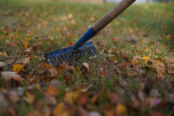 Рязанцев приглашают на второй общегородской субботник