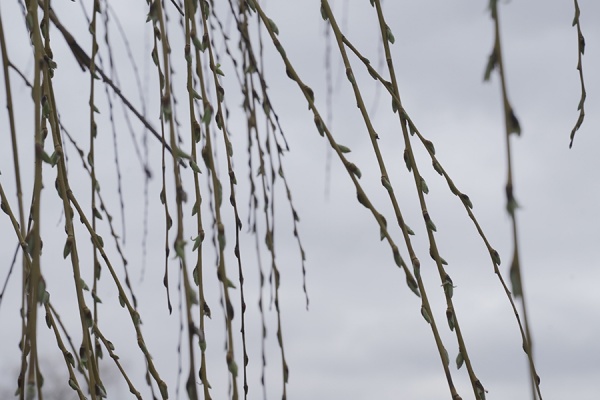 В Рязанской области резко похолодает