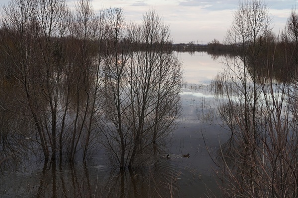 В регионе остаются подтопленными пять низководных мостов