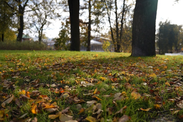 Парк 40-летия ВЛКСМ в Сасове получил знак «ПровЕРено»