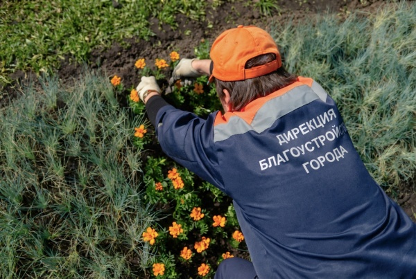 В Рязани приводят в порядок парки и скверы
