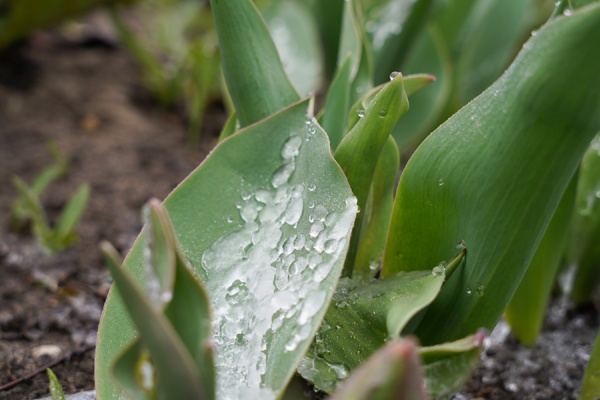 Рязанцев предупредили о резком похолодании