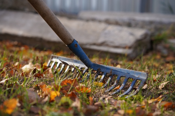 Более 800 рязанцев вышли на Всероссийский субботник