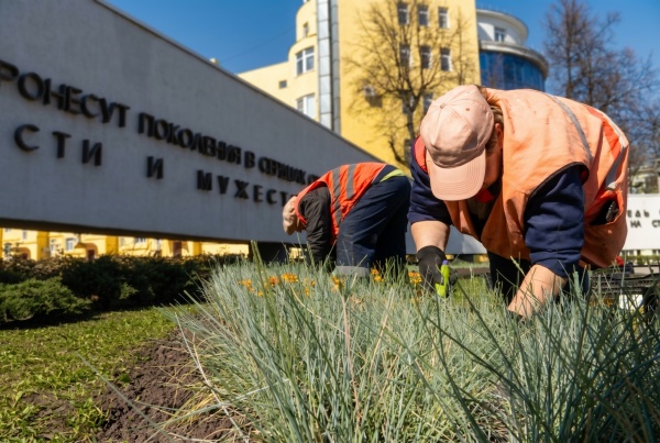 На площади Победы появится клумба в форме звезды