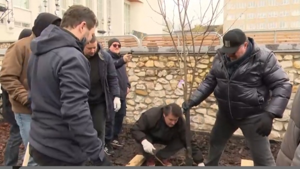 В Рязани высадили «театральную» аллею