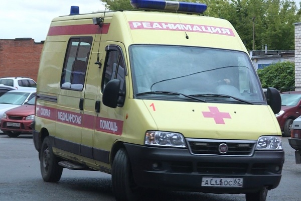 Двое взрослых и двое детей пострадали в ДТП под Захаровом