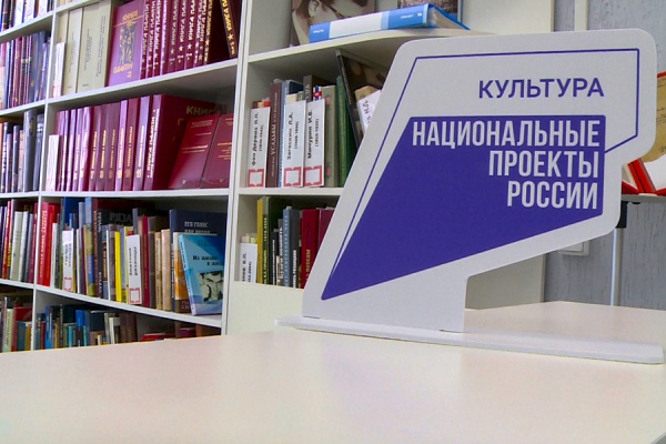 Губернатор передаст 200 книг библиотекам Сасова и Рязани